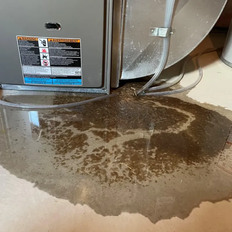 Appliance Leak Cleanup in Saint Joseph County, MI